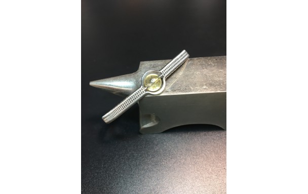 Charmant Citrine